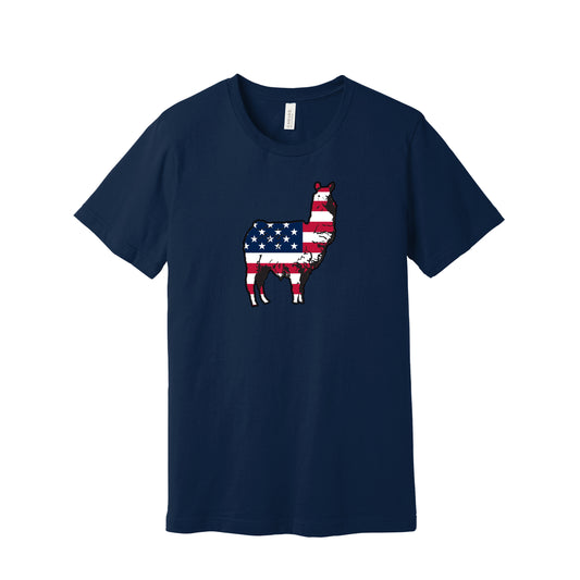 USA - Navy