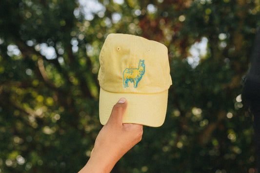Everyone's Favorite Llama Hat - Yellow