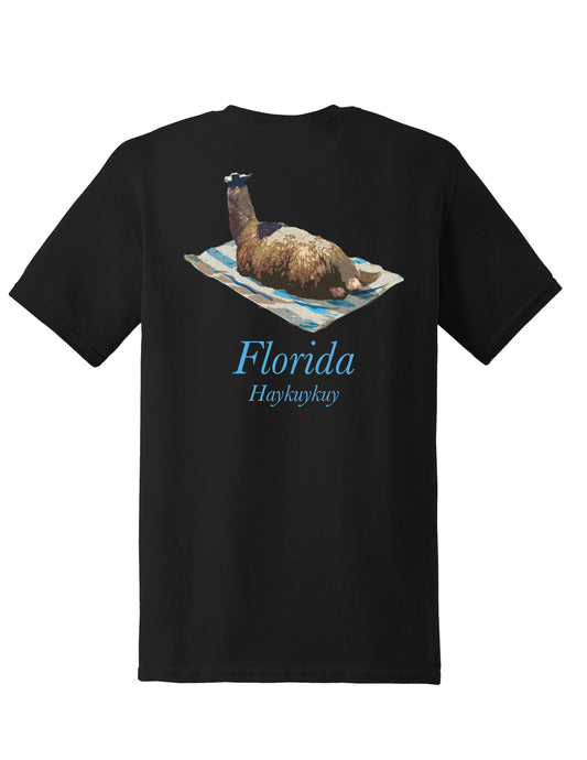 Haykuykuy - Florida