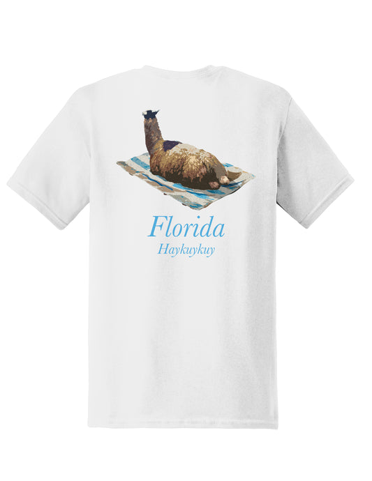 Haykuykuy - Florida