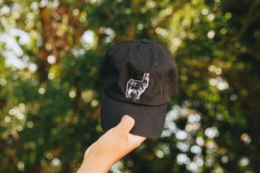 Everyone's Favorite Llama Hat - Black