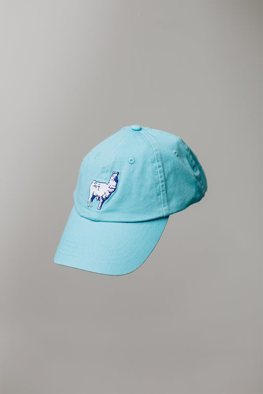 Llamas Don't Spit hat - Light Blue