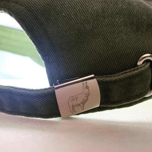 Llamas Don't Spit hat - Green