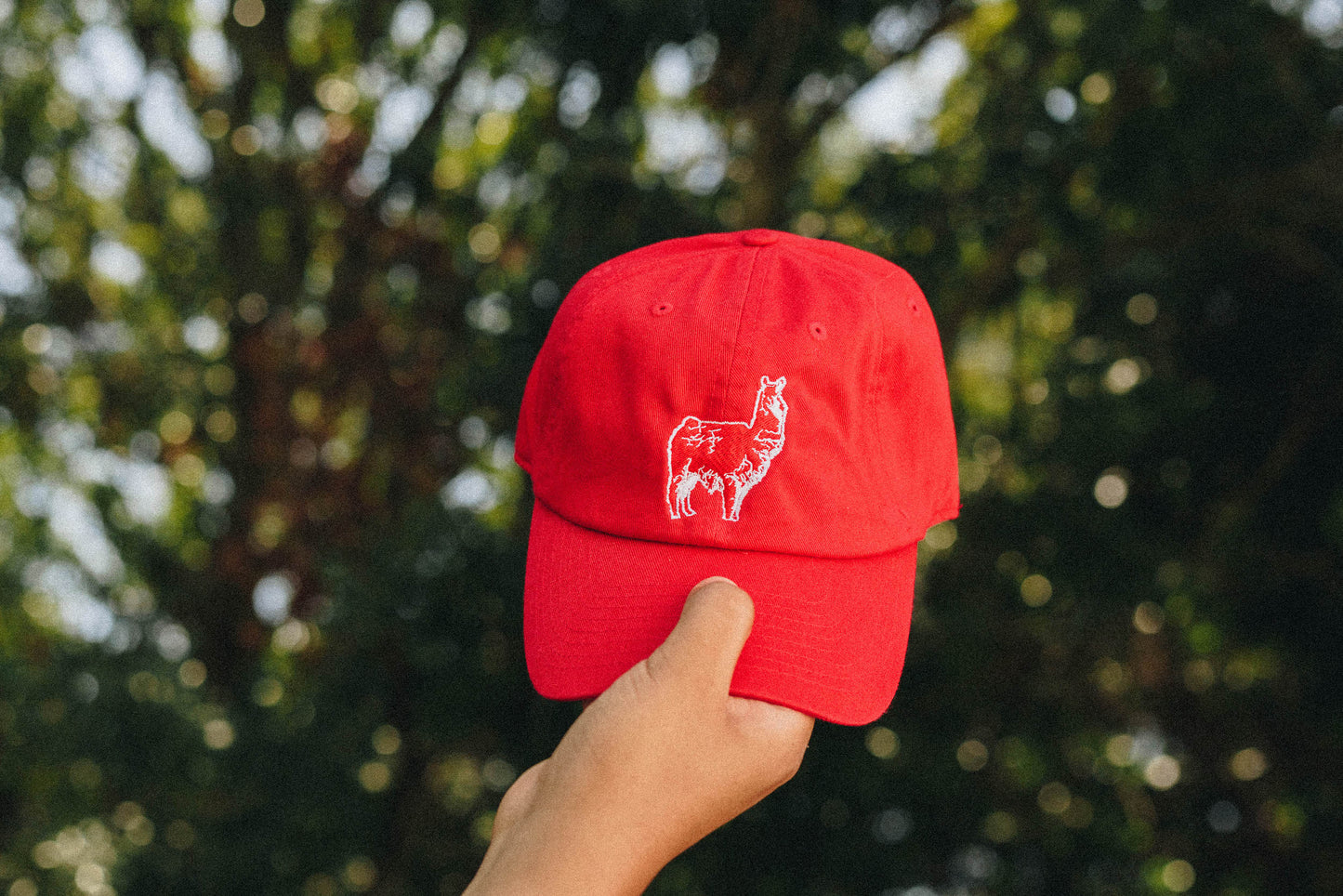 Everyone's Favorite Llama Hat - Red