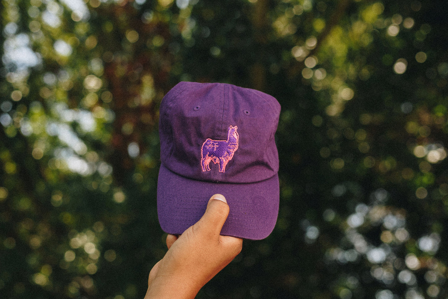 Everyone's Favorite Llama Hat - Purple