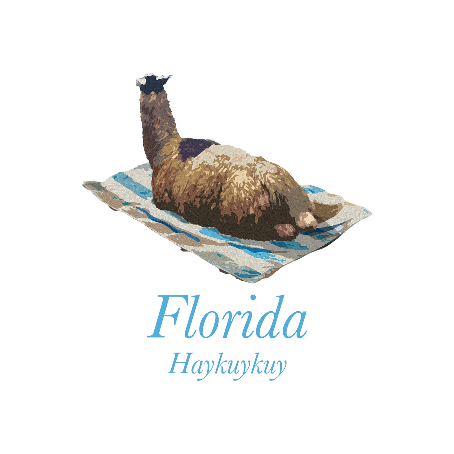 Haykuykuy - Florida